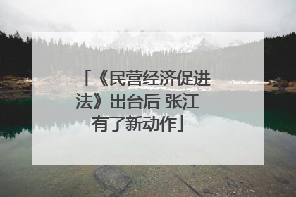 《民营经济促进法》出台后 张江有了新动作