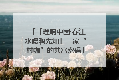 「理响中国·春江水暖鸭先知」一家“村咖”的共富密码