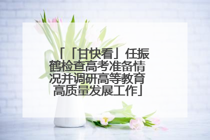 「甘快看」任振鹤检查高考准备情况并调研高等教育高质量发展工作
