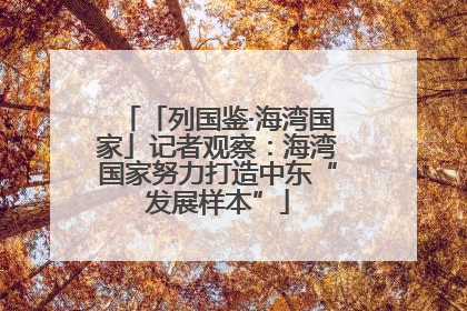 「列国鉴·海湾国家」记者观察：海湾国家努力打造中东“发展样本”