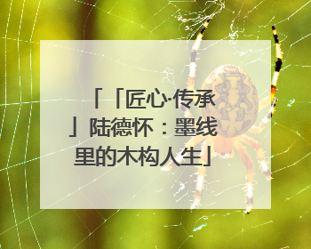「匠心·传承」陆德怀：墨线里的木构人生