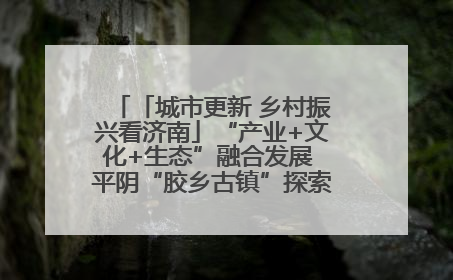 「城市更新 乡村振兴看济南」“产业+文化+生态”融合发展 平阴“胶乡古镇”探索振兴路径成效显著