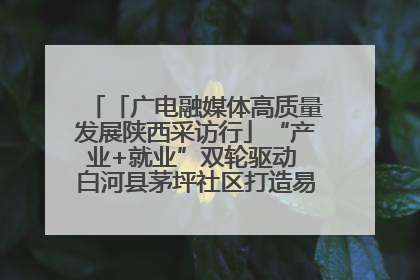 「广电融媒体高质量发展陕西采访行」“产业+就业”双轮驱动 白河县茅坪社区打造易地搬迁后扶新样本