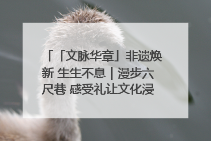 「文脉华章」非遗焕新 生生不息｜漫步六尺巷 感受礼让文化浸润的“巷”往生活