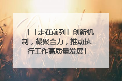 「走在前列」创新机制，凝聚合力，推动执行工作高质量发展
