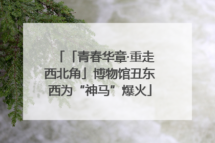 「青春华章·重走西北角」博物馆丑东西为“神马”爆火
