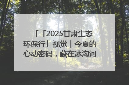 「2025甘肃生态环保行」视觉｜今夏的心动密码，藏在冰沟河的潋滟波光里