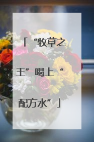“牧草之王”喝上“配方水”