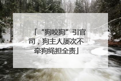 “狗咬狗”引官司，狗主人屡次不牵狗绳担全责