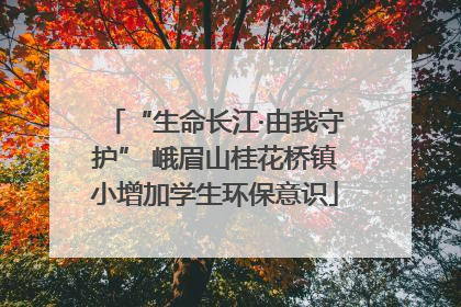 “生命长江·由我守护” 峨眉山桂花桥镇小增加学生环保意识