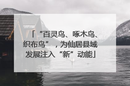 “百灵鸟、啄木鸟、织布鸟”，为仙居县域发展注入“新”动能