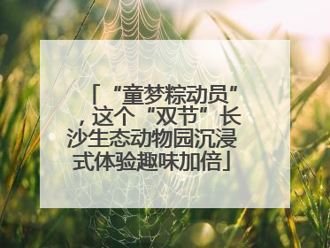 “童梦粽动员”，这个“双节”长沙生态动物园沉浸式体验趣味加倍