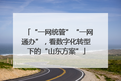 “一网统管”“一网通办”，看数字化转型下的“山东方案”
