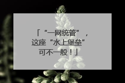 “一网统管”，这座“水上堡垒”可不一般！