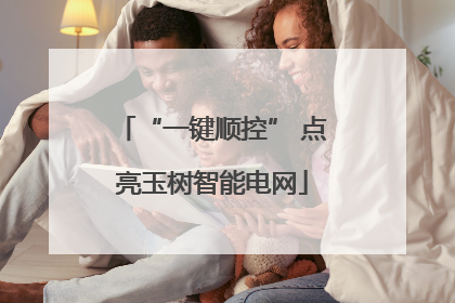 “一键顺控” 点亮玉树智能电网