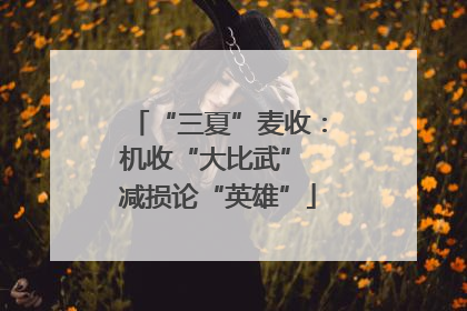 “三夏”麦收：机收“大比武” 减损论“英雄”