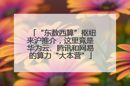 “东数西算”枢纽来沪推介，这里竟是华为云、腾讯和网易的算力“大本营”