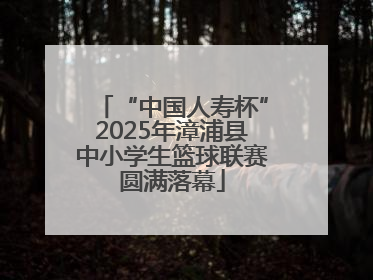 “中国人寿杯”2025年漳浦县中小学生篮球联赛圆满落幕