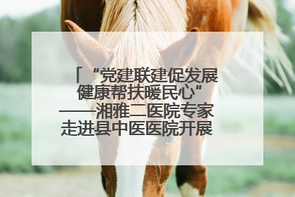 “党建联建促发展 健康帮扶暖民心”——湘雅二医院专家走进县中医医院开展健康帮扶活动