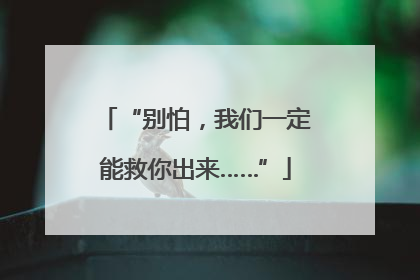 “别怕，我们一定能救你出来……”