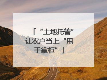 “土地托管”让农户当上“甩手掌柜”