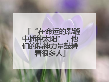 “在命运的裂缝中播种太阳”，他们的精神力量鼓舞着很多人