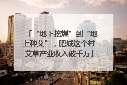 “地下挖煤”到“地上种艾”，肥城这个村艾草产业收入破千万