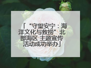 “守望安宁：海洋文化与救捞”北部海区 主题宣传活动成功举办