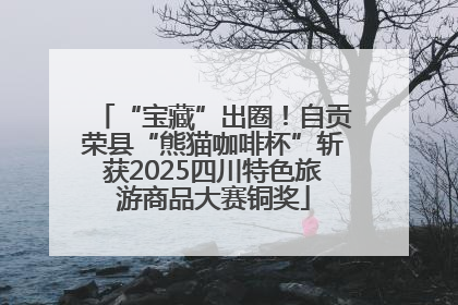 “宝藏”出圈！自贡荣县“熊猫咖啡杯”斩获2025四川特色旅游商品大赛铜奖