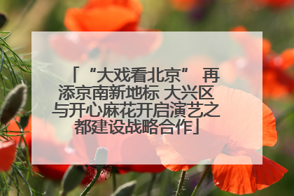 “大戏看北京” 再添京南新地标 大兴区与开心麻花开启演艺之都建设战略合作