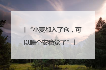 “小麦都入了仓，可以睡个安稳觉了”