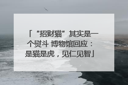 “招财猫”其实是一个熨斗 博物馆回应：是猫是虎，见仁见智