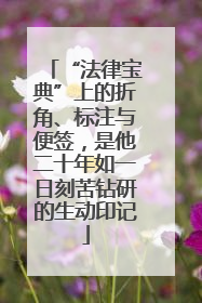 “法律宝典”上的折角、标注与便签，是他二十年如一日刻苦钻研的生动印记