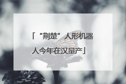 “荆楚”人形机器人今年在汉量产