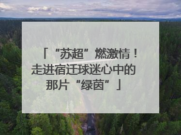 “苏超”燃激情！走进宿迁球迷心中的那片“绿茵”