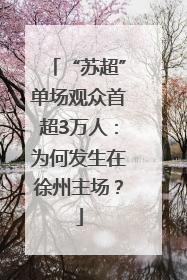 “苏超”单场观众首超3万人：为何发生在徐州主场？