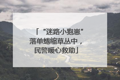 “迷路小狍崽”落单蜷缩草丛中，民警暖心救助