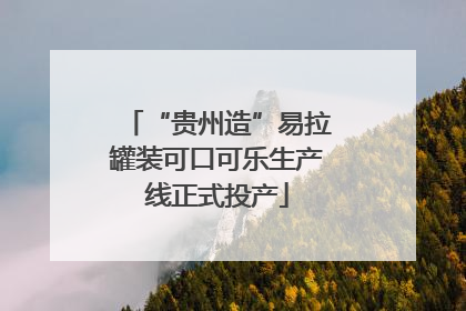 “贵州造”易拉罐装可口可乐生产线正式投产