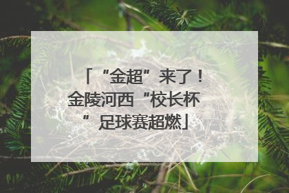 “金超”来了！金陵河西“校长杯”足球赛超燃
