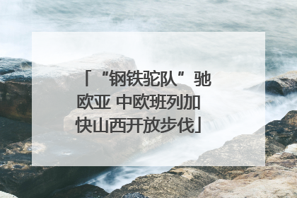 “钢铁驼队”驰欧亚 中欧班列加快山西开放步伐