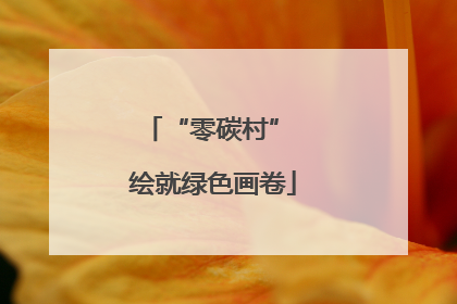 “零碳村” 绘就绿色画卷