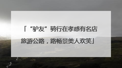 “驴友”骑行在孝感有名店旅游公路，路畅景美人欢笑