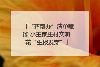 “齐帮办”清单赋能 小王家庄村文明花“生根发芽”