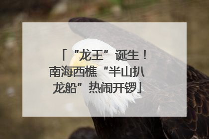 “龙王”诞生！南海西樵“半山扒龙船”热闹开锣