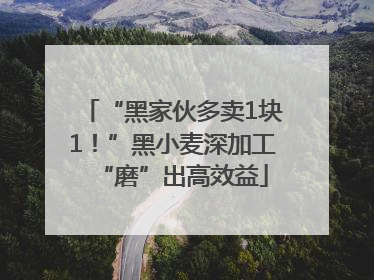 “黑家伙多卖1块1！”黑小麦深加工“磨”出高效益