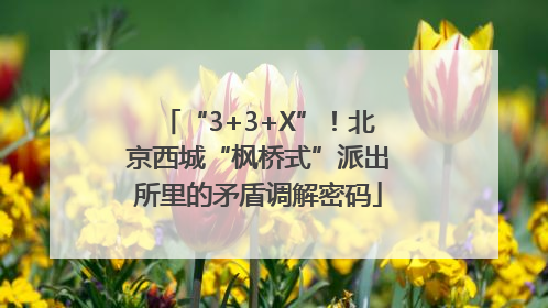 “3+3+X”！北京西城“枫桥式”派出所里的矛盾调解密码