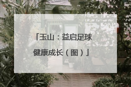 玉山：益启足球 健康成长（图）