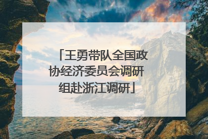王勇带队全国政协经济委员会调研组赴浙江调研