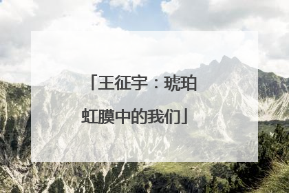 王征宇：琥珀虹膜中的我们