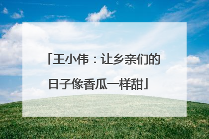 王小伟：让乡亲们的日子像香瓜一样甜